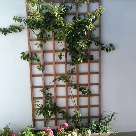 Casa Da Ponte アパート