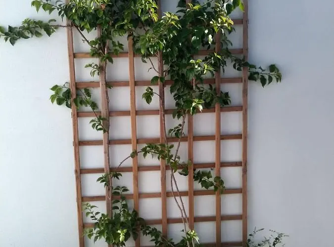 Casa Da Ponte Διαμέρισμα